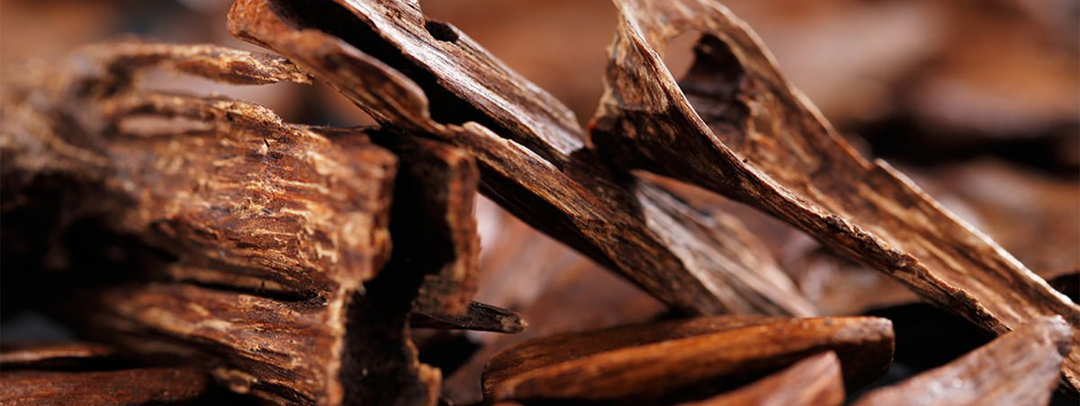 The World of Oud: An Immersive Guide to Wood‑Based Perfumes