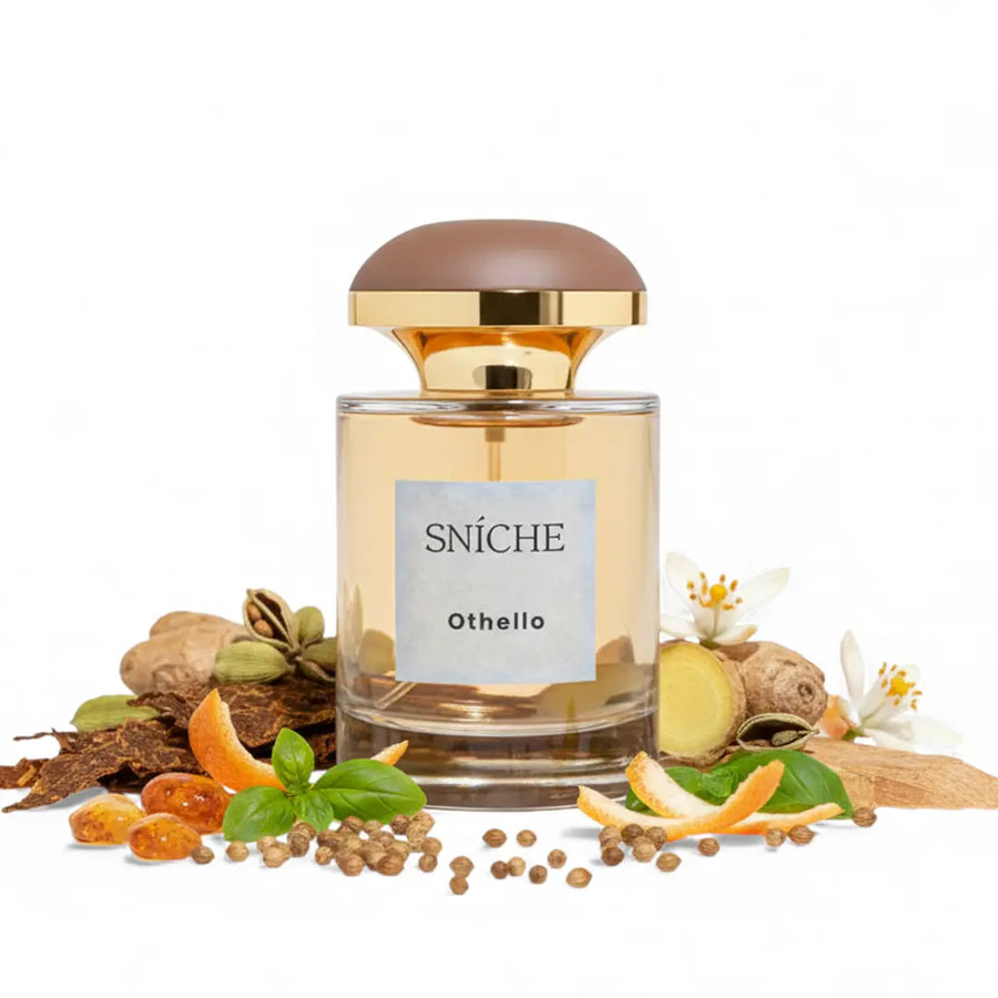 othello d&g the one perfume