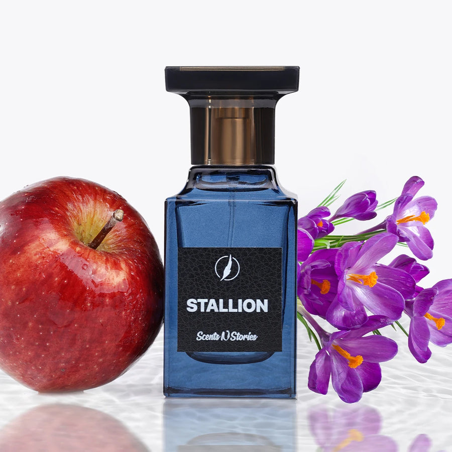 Stallion Y by YSL perfume